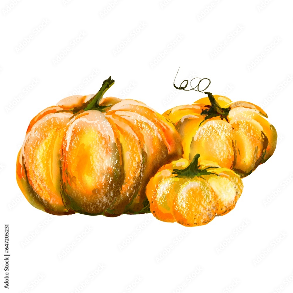 Fototapeta premium Pumpkin for Halloween or Thanksgiving, for autumn decorative design, Halloween invitation, harvest