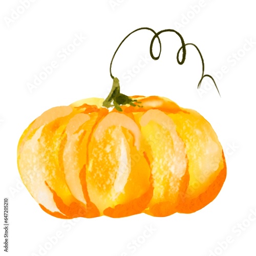 Pumpkin for Halloween or Thanksgiving, for autumn decorative design, Halloween invitation, harvest