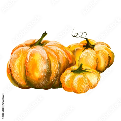 Pumpkin for Halloween or Thanksgiving, for autumn decorative design, Halloween invitation, harvest