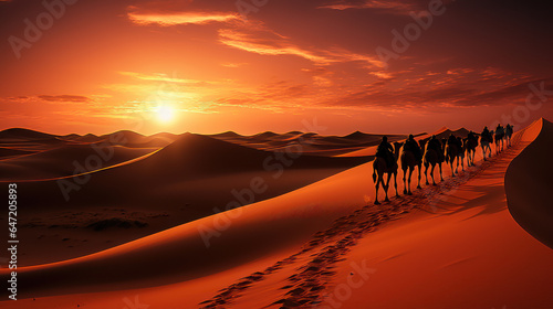 Desert trek on a camel at sunset.