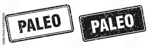 paleo stamp set. paleo square grunge sign