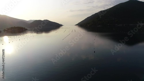 Aerial drone view of the bay of Mali Ston located on Peljesac peninsula. Oyster farms in the turquoise sea water. Island of Life. Small fishing village. Summer.