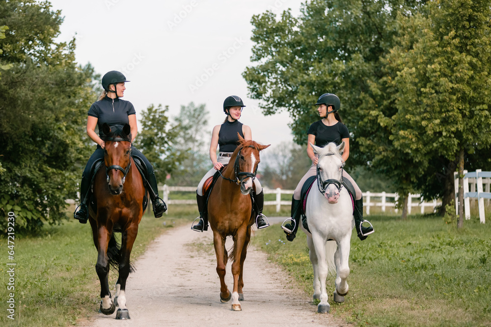 Horsewomen riding beautiful horses along the trail at the equestrian center on a bright summer day. Horse gait walks concept. Horsewomen riding beautiful horses along the trail at the equestrian center on a bright summer day. Horse gait walks concept.