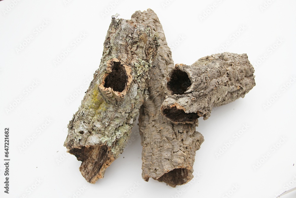 Korkröhren, Kork, Korkbaum Korkröhren, Kork, Korkbaum
