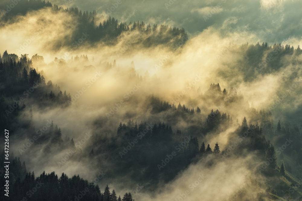 silhouettes of morning mountains. foggy morning in the Carpathians. Mountain landscape silhouettes of morning mountains. foggy morning in the Carpathians. Mountain landscape