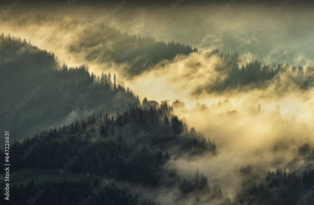 Fototapeta premium silhouettes of morning mountains. foggy morning in the Carpathians. Mountain landscape