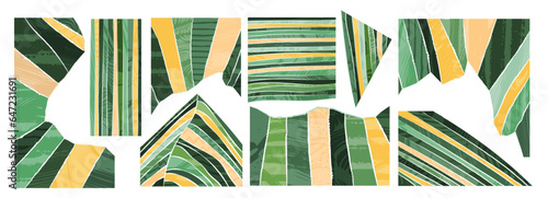 Collage of green textured ripped page. Paper torn rip edge strip piece. Abstract agriculture field or farm card background. Vineyard valley pattern, spring countryside landscape. Organic design set