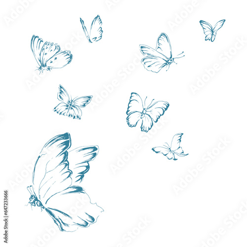 8 hand drawn vector illustrations of flying butterflies. Ink line art stylised graphic drawing collection.