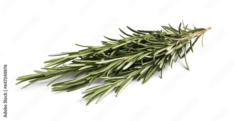 Fototapeta premium Sprigs of fresh rosemary isolated on white