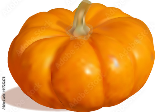 A large fruit of a herbaceous plant Cucurbita