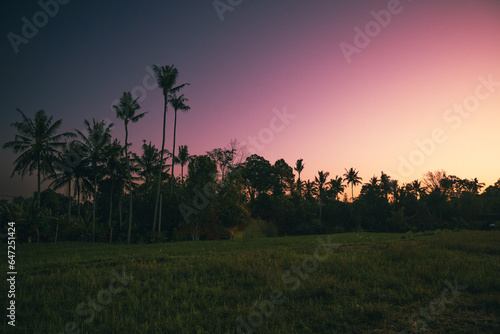 tropical sunset