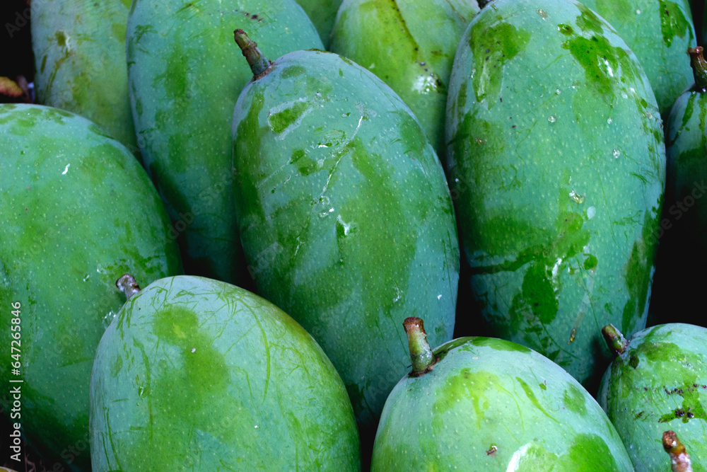 group mango from asian farm, can be used for article design group mango from asian farm, can be used for article design