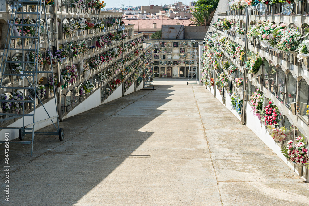 Garden of Remembrance: The Language of Cemetery Flowers