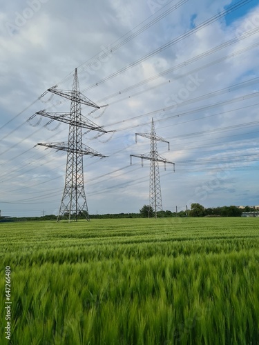 Eletricity Pylon in a field