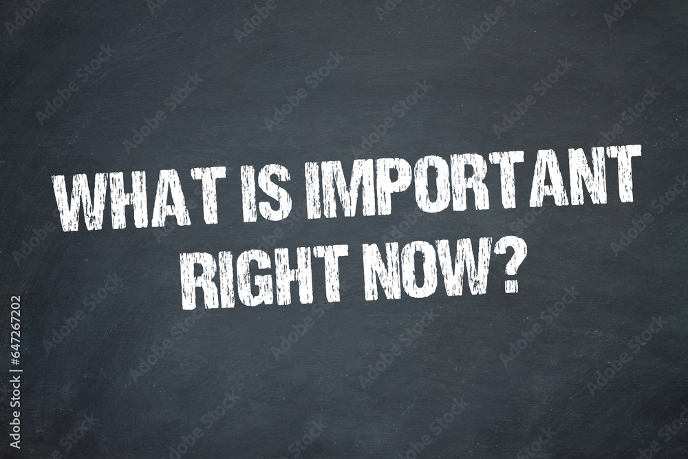 Fototapeta premium what is important right now? 