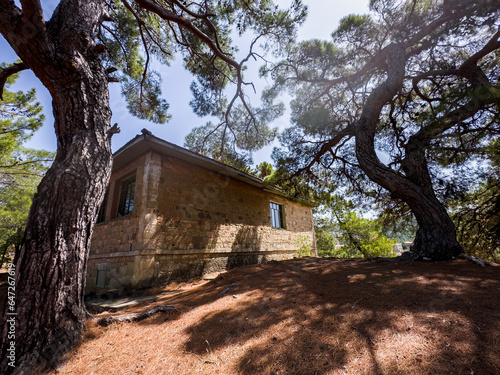 The primary school from the historical stone structure in the Adatepe village of Canakkale, education concept intertwined with nature