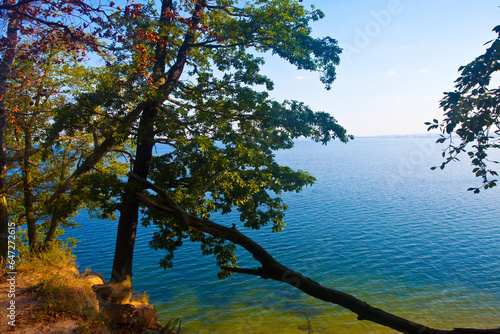 Klif, Gdynia, Cliff in Gdynia 