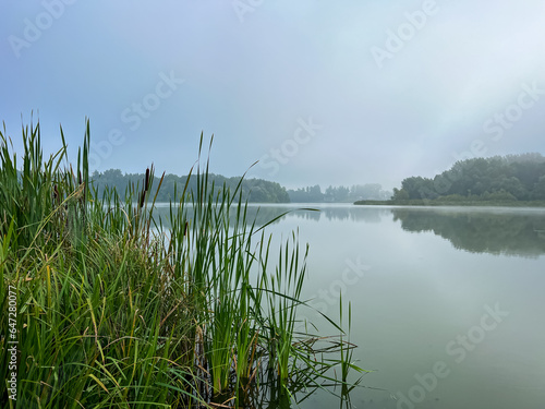 Mystical morning at the fog-kissed lake  where nature s beauty emerges through the ethereal mist.