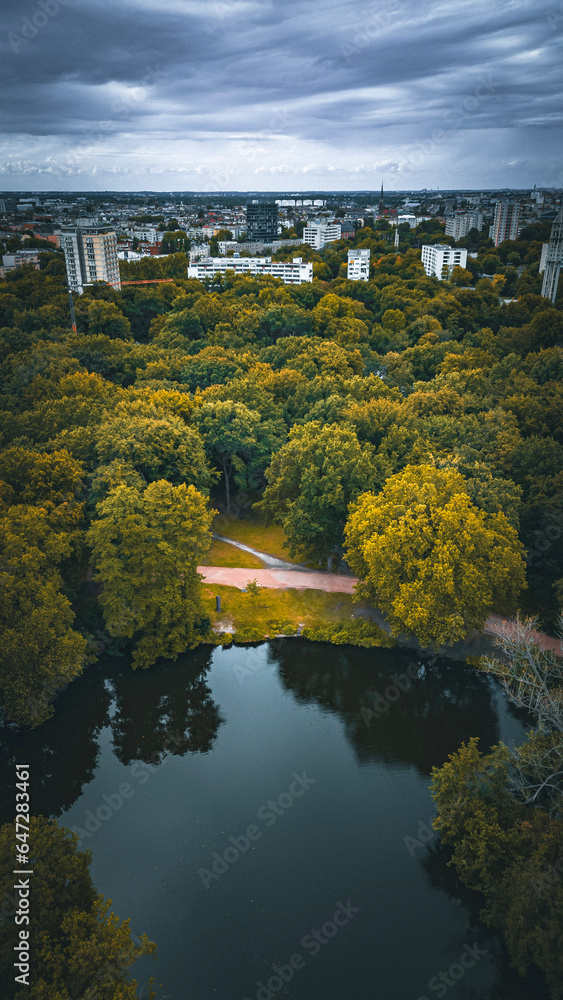 See Tiergarten Park Erholung Bootfahren Natur Picknick Tierwelt Ruhig ...