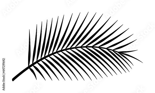 Palm tree leaf silhouette. Tropical branch. Vector illustration. 