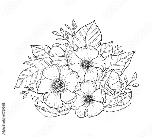 Ink, pencil, the leaves and flowers of jasmine isolate. Line art transparent background. Hand drawn nature painting. Freehand sketching illustration.