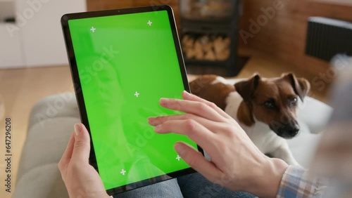 tablet computer with green screen chromakey display with motion trackers in woman hand with dog jack russel on background sitting on sofa. finger scroll and tap gesture