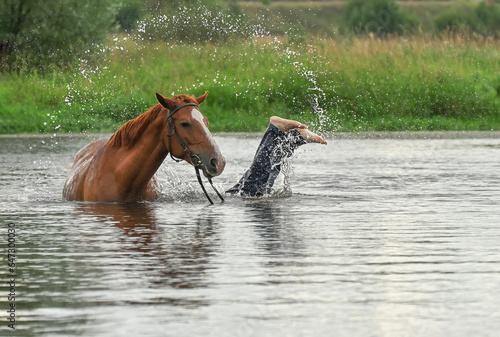 A brown horse in the middle of the river. The rider fell from his horse into the river. Dives into the river from a horse