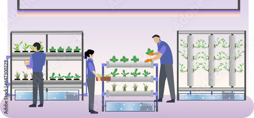 Hydroponic farmers care for and check vegetable plants, hydroponic agriculture concept for website or landing page, farmer growing plant
