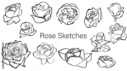 Hand Drawn Rose Sketches