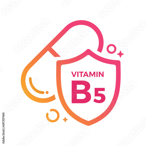 Vitamin B5 Pill Shield icon Logo Protection, Medicine heath Vector illustration
