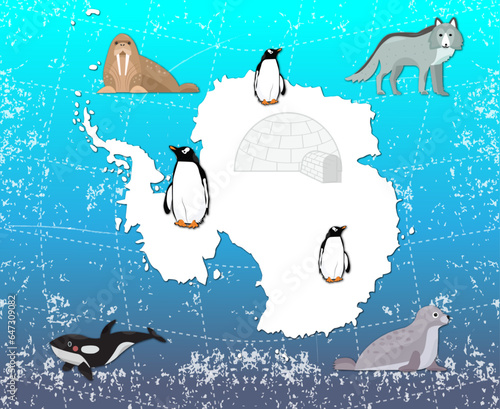 Photography cartoon map of antarctica continent with different animals