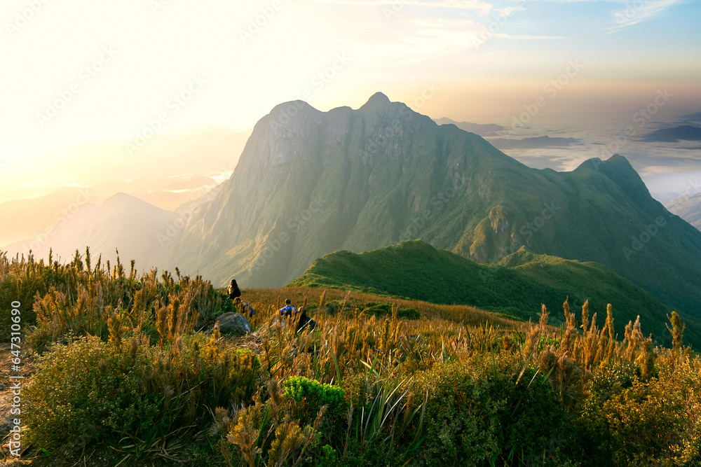 Fotografie pico parana