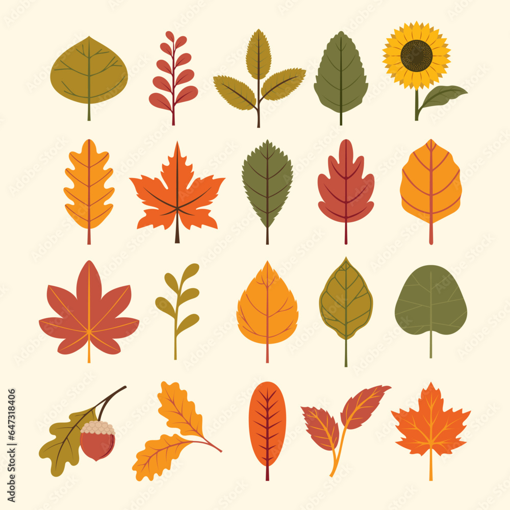 autumn leaves collection autumn leaves collection