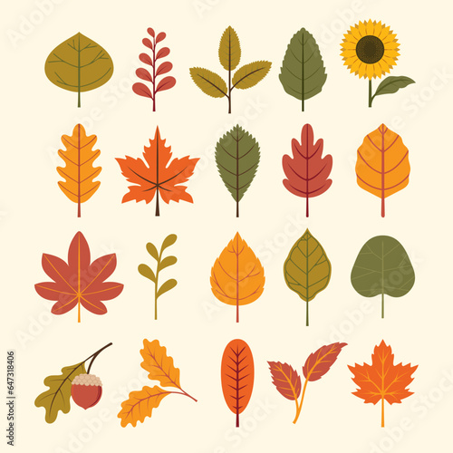 autumn leaves collection (ID: 647318406)