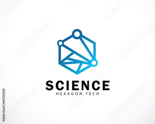 molecule logo creative science lab design concept hexagon tech connect network biology smart idea