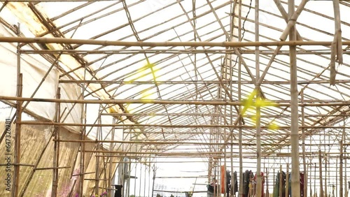 Greenhouses are made of bamboo in Vietnam