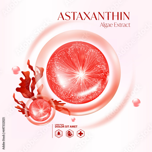 red algae, Seaweed natural serum Skin Care Cosmetic