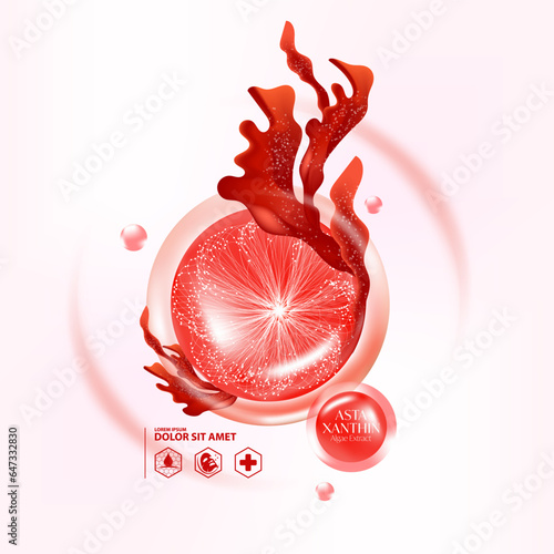 red algae, Seaweed natural serum Skin Care Cosmetic