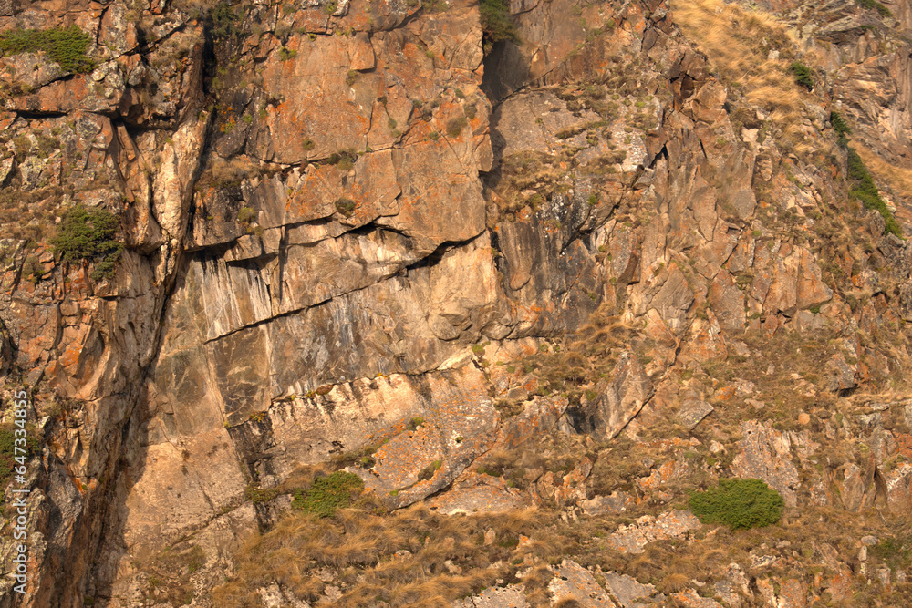 The rock is brown in color interspersed with moss The rock is brown in color interspersed with moss