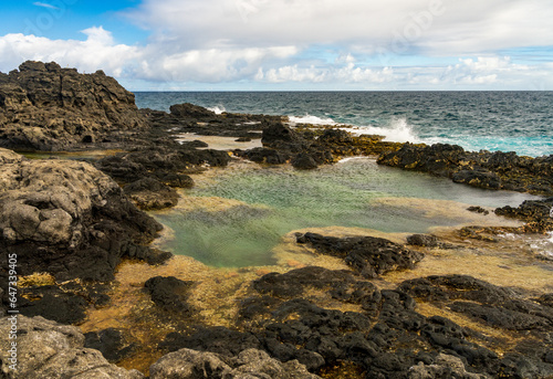 Tidal pools on the lava rock plateau near Kilauae point on north coast of Kauai