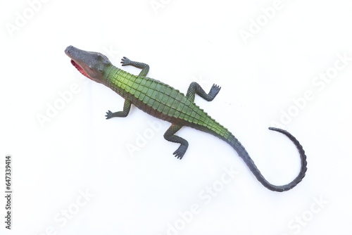 Green crocodile toy in white background. Crocodile toy figure for learning animals