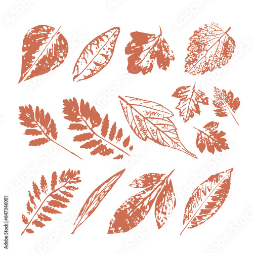 Set of various autumn leaves. Ink stamps of plant texture. Isolated on white background. Realistic silhouettes. Foliage stamp. Elements for nature design. 