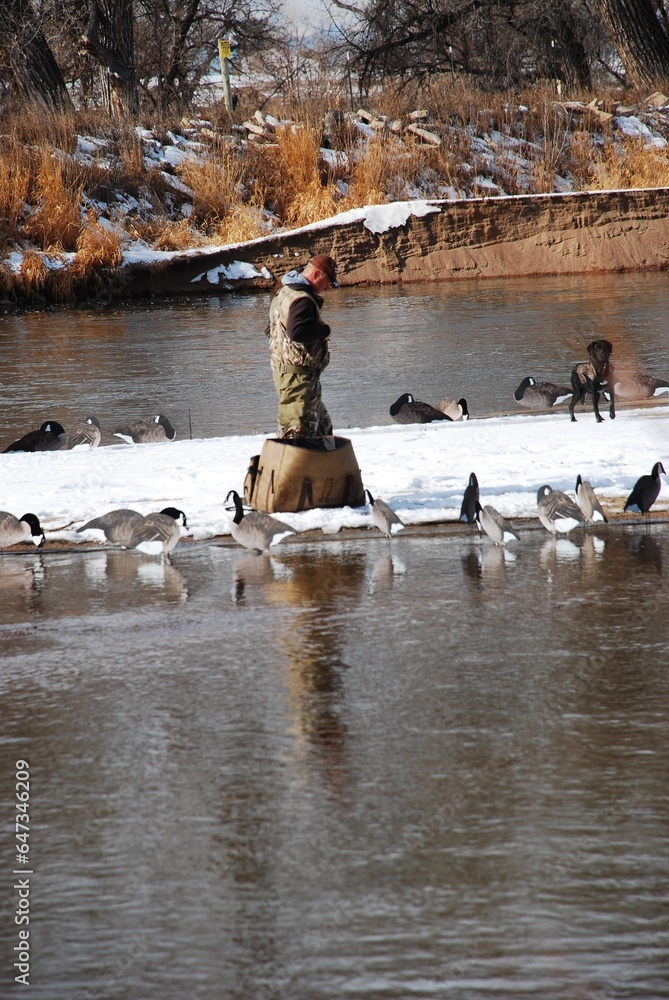 Naklejka premium Waterfowl hunting on the Platte River