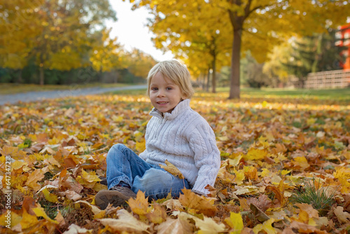 Happy child  playing with pet dog in autumn park on a sunny day