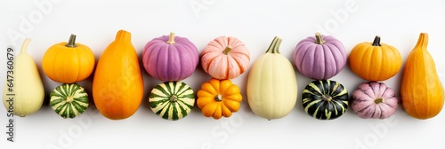 Border of autumn colorful pumpkins isolated on white, Halloween and Thanksgiving banner design. © Jasper W