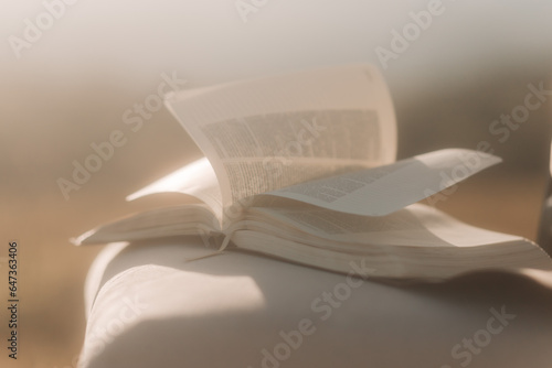 Bible on top of a chair in a shepherd with dry and yellowed grass. Winds leafing through the pages of the Bible book and white cloth swaying in the wind. © mariana