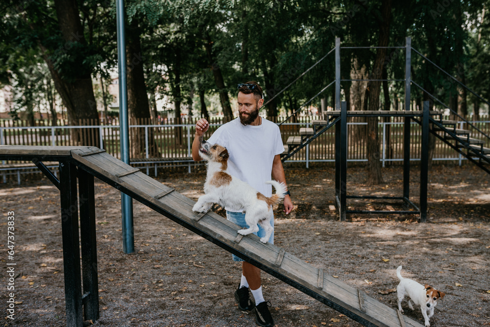 A young guy walks and trains his dogs Jack Russell terriers in a specially equipped dog walking area. A young guy walks and trains his dogs Jack Russell terriers in a specially equipped dog walking area.