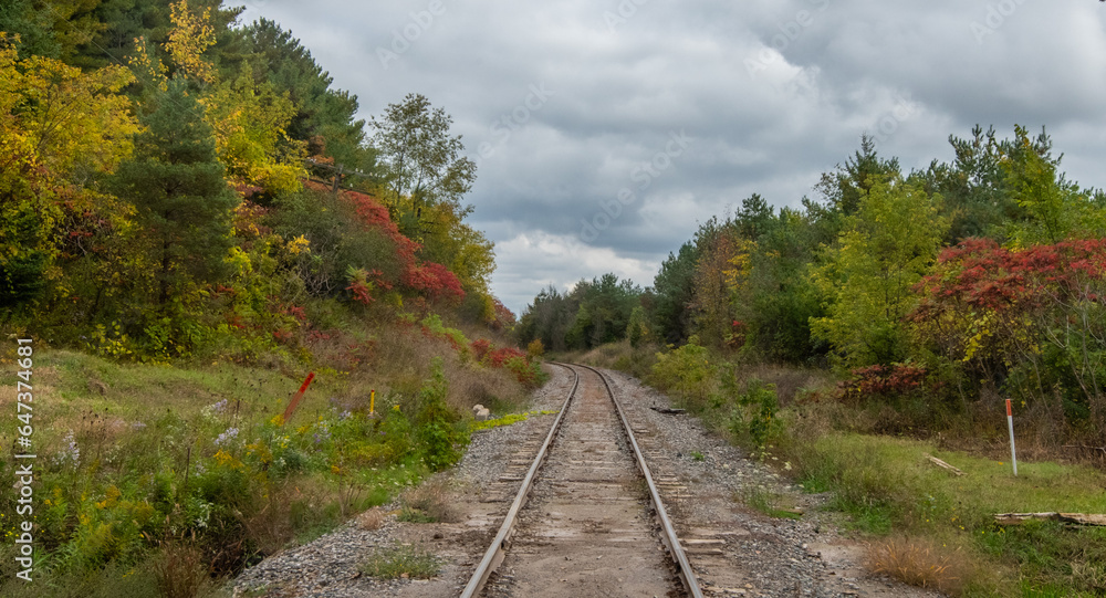 Fototapeta premium Railway in Autumn