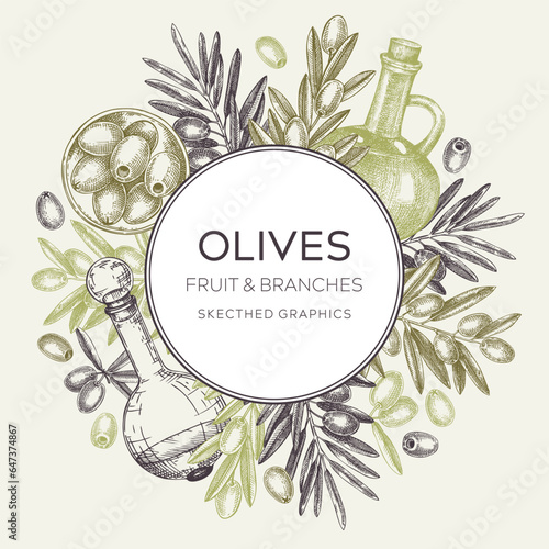 Olive oil background. Hand-drawn vector illustration. Olive tree branches, glass bottle, olives sketches. Italian food frame in vintage style. Vegetable oil design template