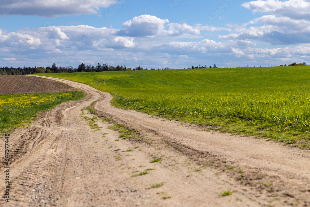 unpaved road in rural areas in spring, unpaved road unpaved road in rural areas in spring, unpaved road